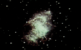 NGC 4565